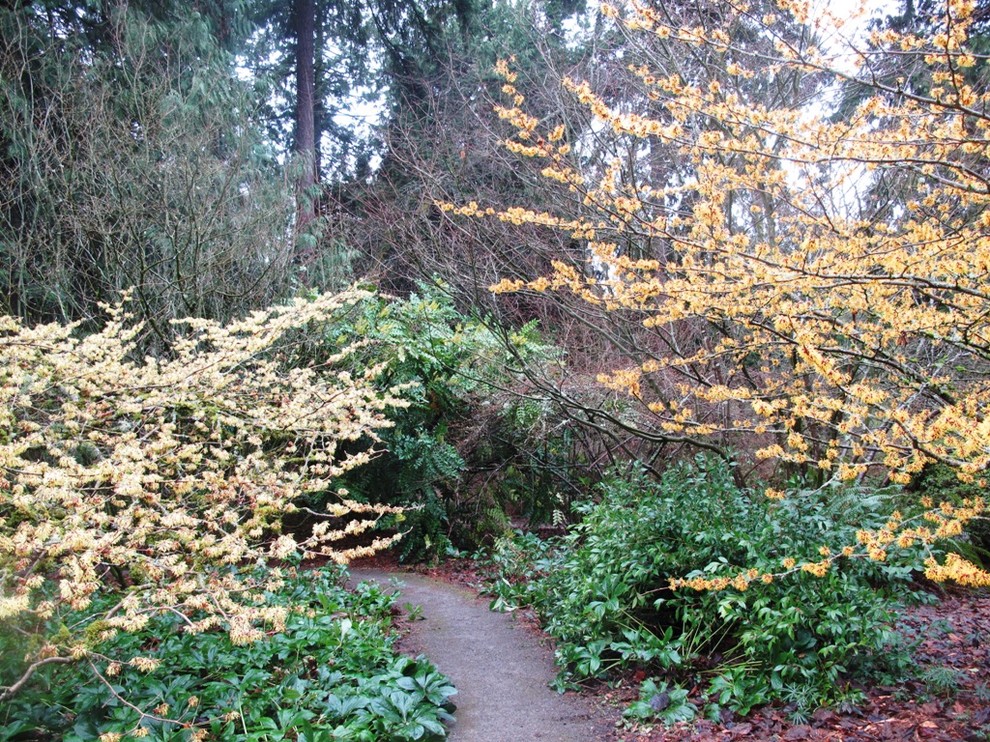 Design ideas for a landscaping in Seattle.