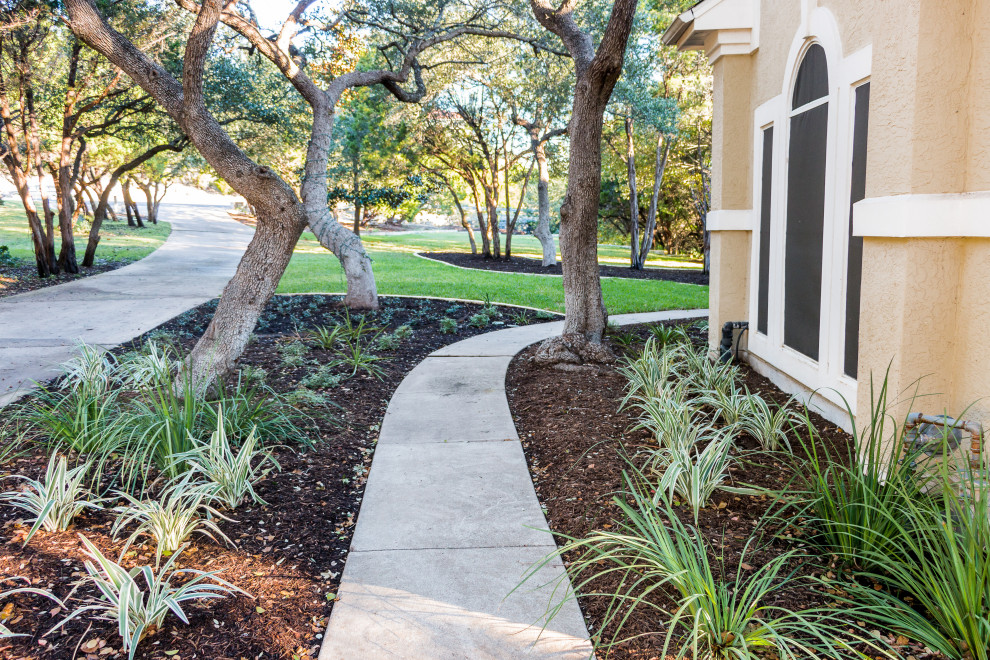 Inspiration for a mid-sized contemporary drought-tolerant and partial sun front yard mulch walkway in Austin for summer.