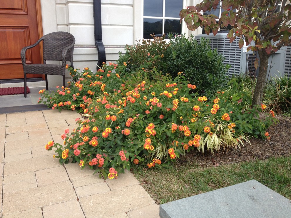 Hudson Harbor Townhouse Traditional Landscape New York by