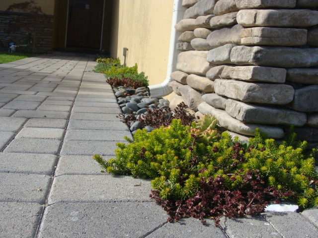 Photo of a coastal landscaping in Orange County.