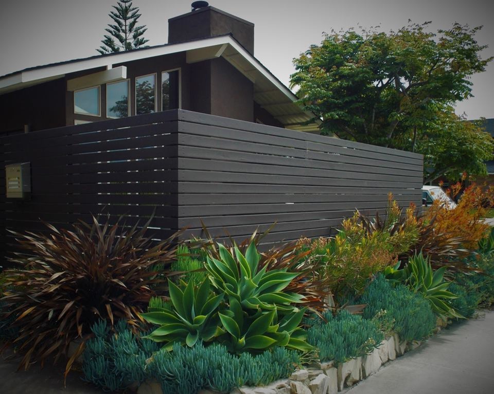 Design ideas for a midcentury front xeriscape garden in Orange County.