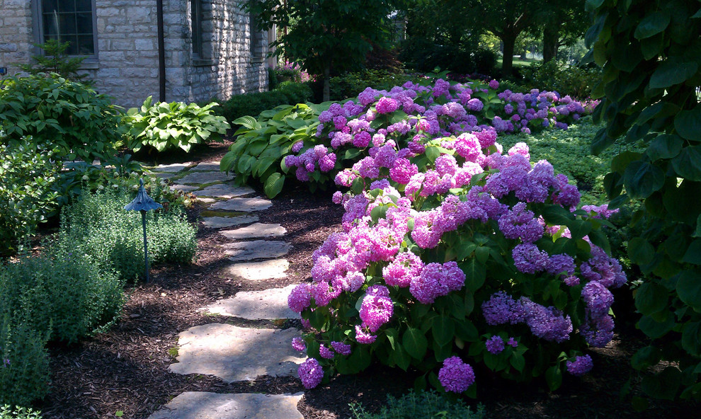 Hydrangea Border Traditional Landscape Columbus by Ken