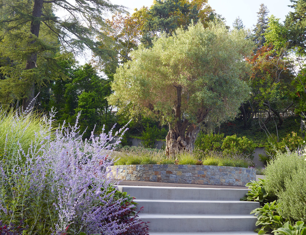 Foto de camino de jardín de secano minimalista grande en patio delantero con adoquines de hormigón