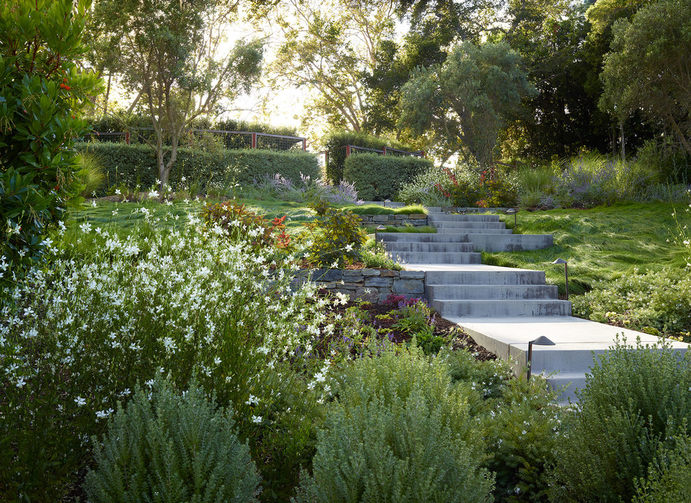 Cette image montre un grand jardin avant minimaliste avec une exposition ensoleillée et des pavés en béton.