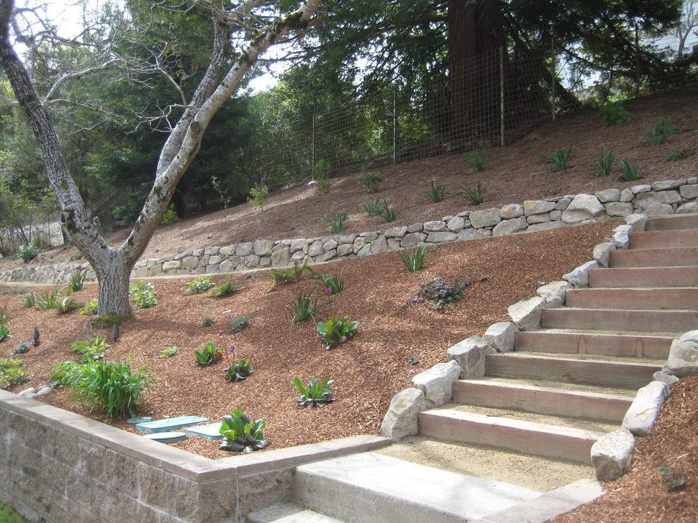 Photo of a mid-sized traditional partial sun hillside mulch garden path in San Francisco for summer.