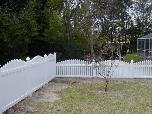 yard with grass and dirt spots surrounded by a white picket fence. 