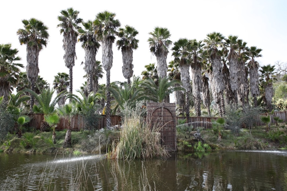 サンフランシスコにあるラグジュアリーな巨大な地中海スタイルのおしゃれな庭の写真