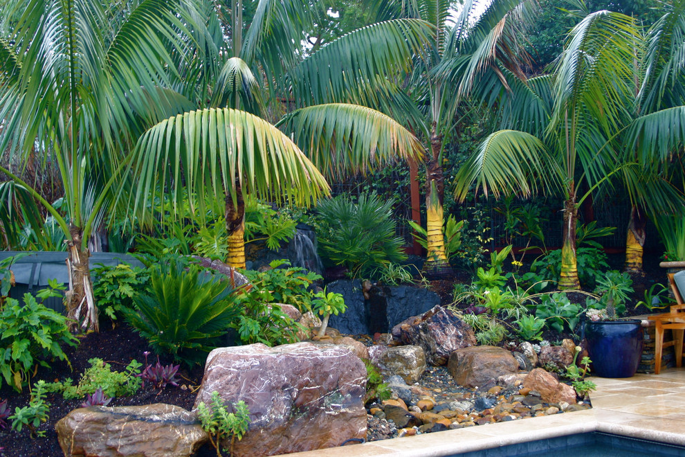 This is an example of a tropical landscaping in San Francisco.