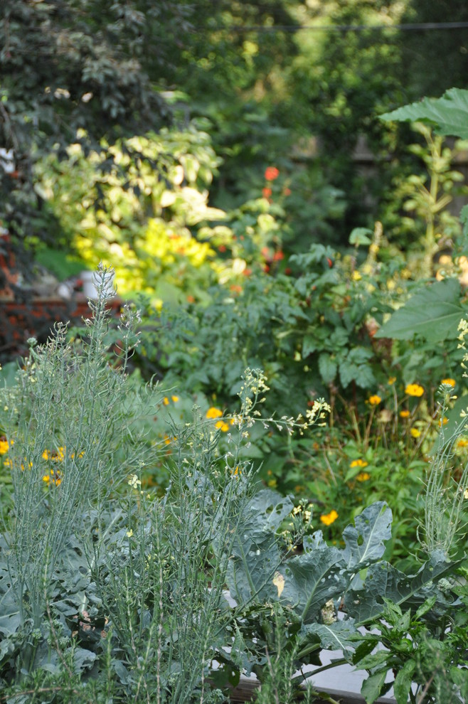 Photo of an eclectic landscaping in Houston.