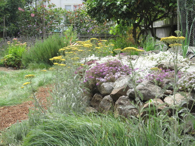 Esempio di un orto in giardino mediterraneo esposto in pieno sole di medie dimensioni e dietro casa in autunno con ghiaia