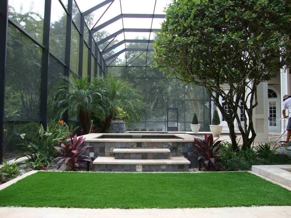 Photo of a contemporary garden in Tampa.