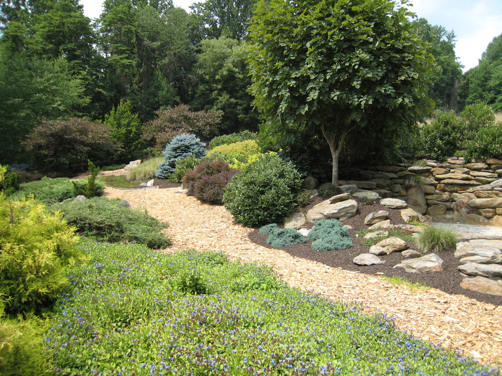 This is an example of a mid-sized traditional full sun side yard mulch landscaping in Baltimore.