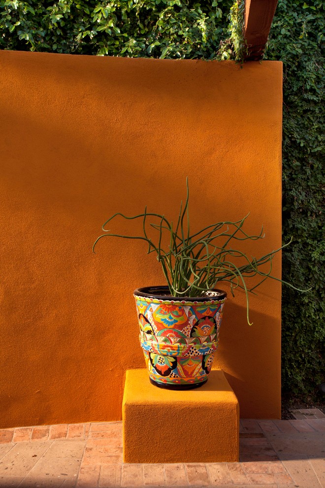 Cette photo montre un jardin méditerranéen.