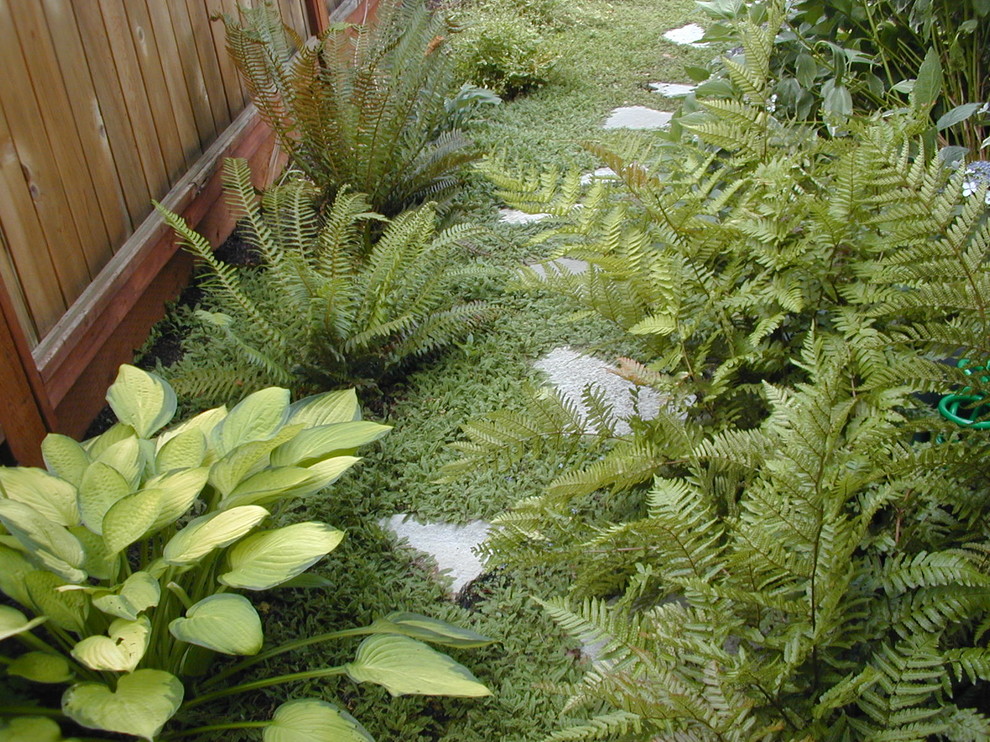 Aménagement d'un jardin éclectique.