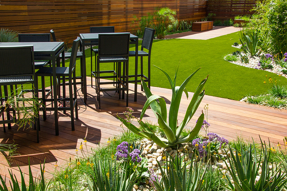 Idee per un grande giardino xeriscape contemporaneo esposto in pieno sole dietro casa con pedane