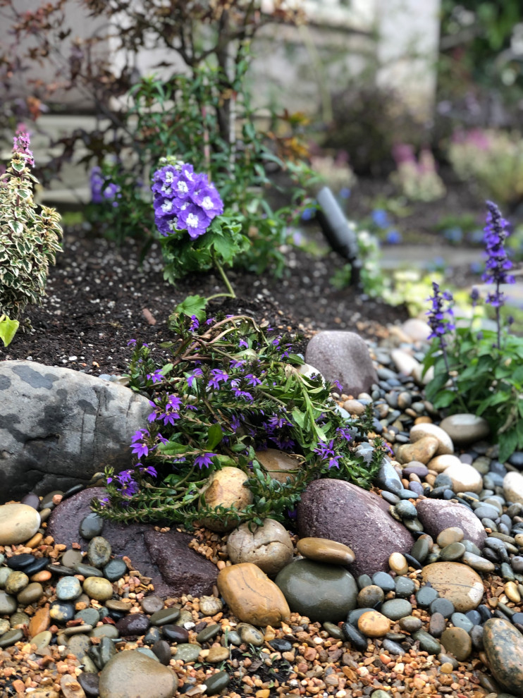 На фото: маленький засухоустойчивый сад на переднем дворе в стиле фьюжн с садовой дорожкой или калиткой для на участке и в саду с
