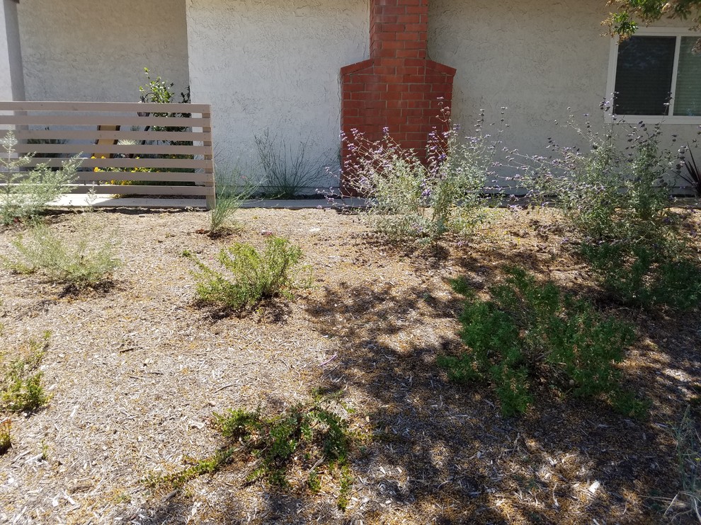 Photo of a medium sized modern front garden in Orange County.