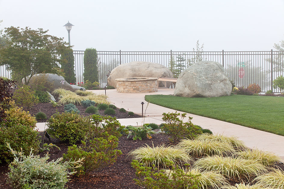 Photo of a transitional landscaping in Seattle.