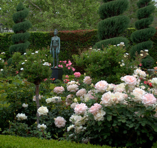 Italian Renaissance Rose Garden, How To Design A Rose Garden