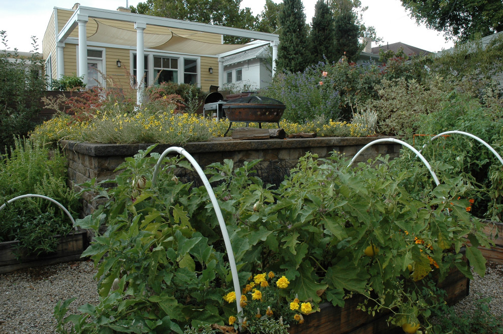 Esempio di un giardino xeriscape chic esposto in pieno sole di medie dimensioni e dietro casa in estate con un giardino in vaso e ghiaia