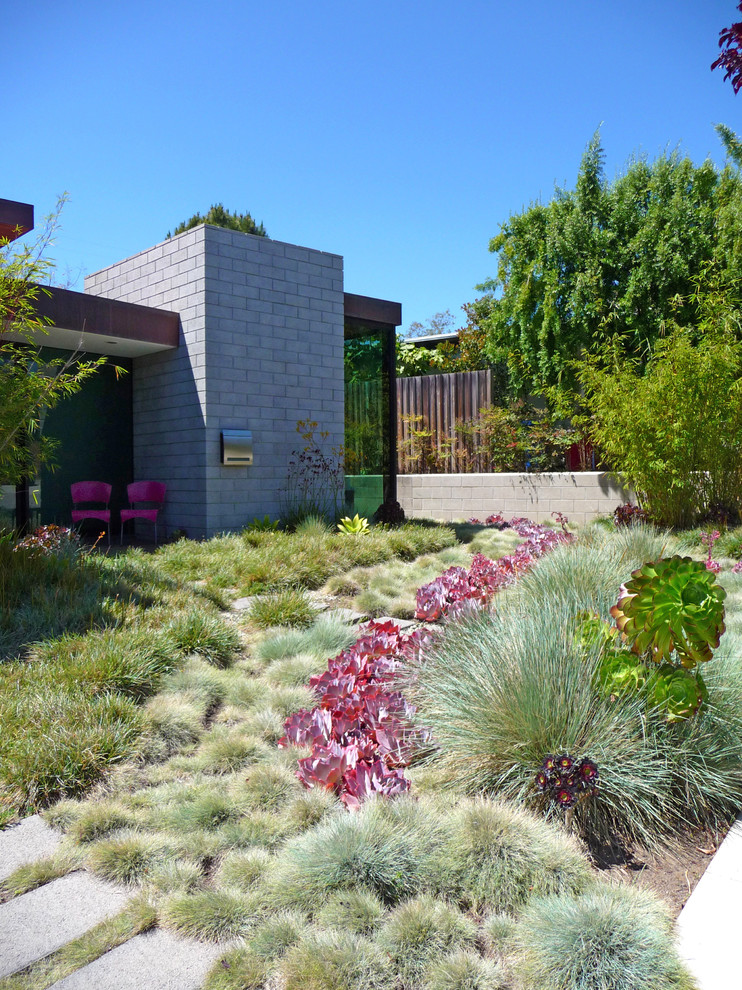 Moderner Garten hinter dem Haus mit direkter Sonneneinstrahlung in Los Angeles
