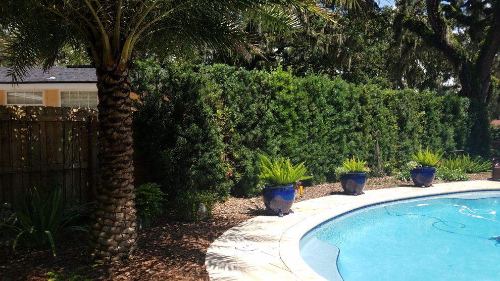 This is an example of a tropical landscaping in Jacksonville.