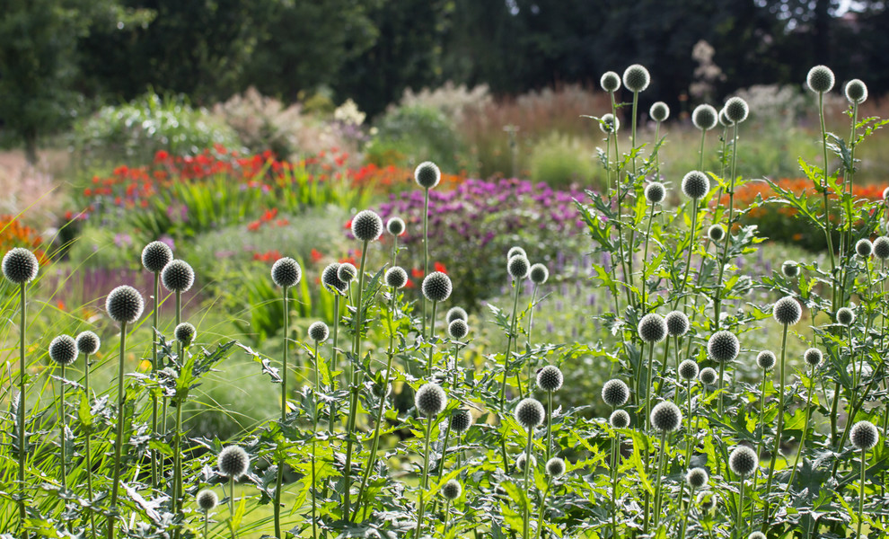 Inspiration for a country garden in Amsterdam.