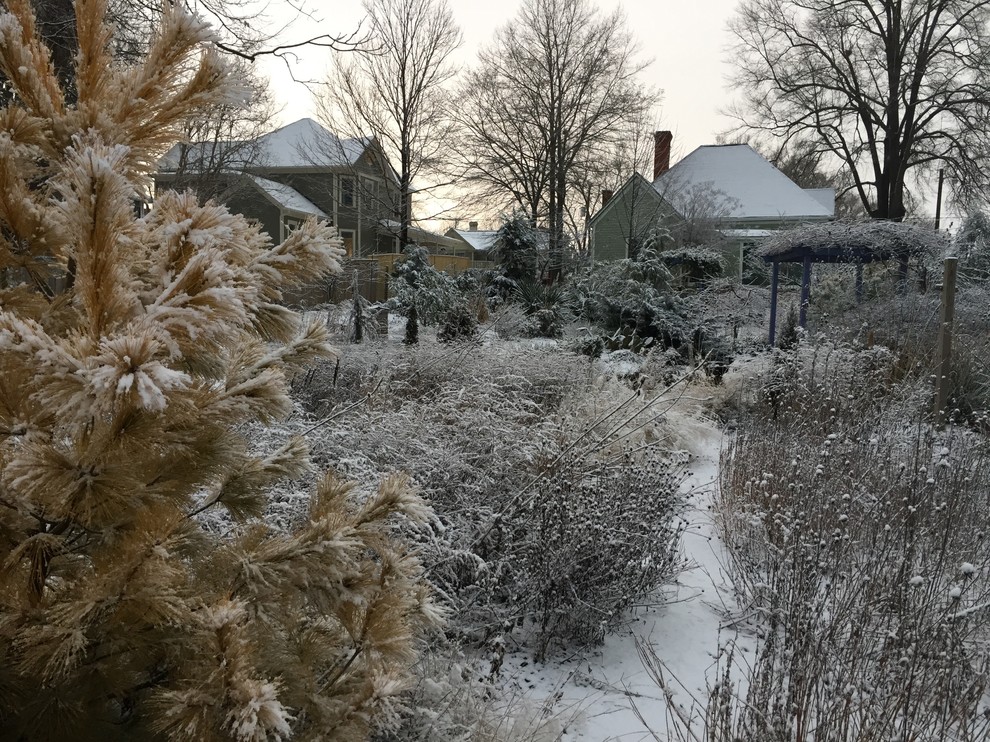 Mittelgroßer, Halbschattiger Moderner Kiesgarten im Winter, hinter dem Haus mit Wasserspiel in Raleigh