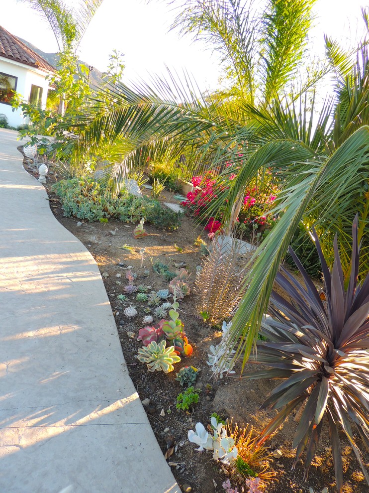 Immagine di un ampio giardino xeriscape contemporaneo esposto in pieno sole dietro casa in autunno con pavimentazioni in cemento