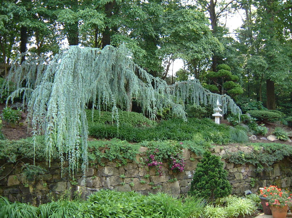 На фото: участок и сад в восточном стиле