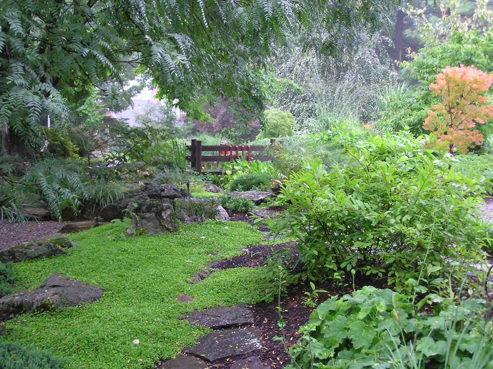 Schattiger Asiatischer Garten hinter dem Haus in Philadelphia