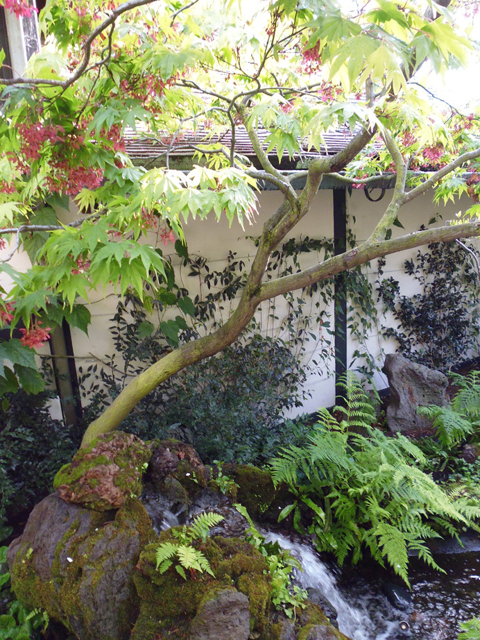 Esempio di un giardino formale etnico esposto a mezz'ombra di medie dimensioni e dietro casa con un ingresso o sentiero e pavimentazioni in cemento