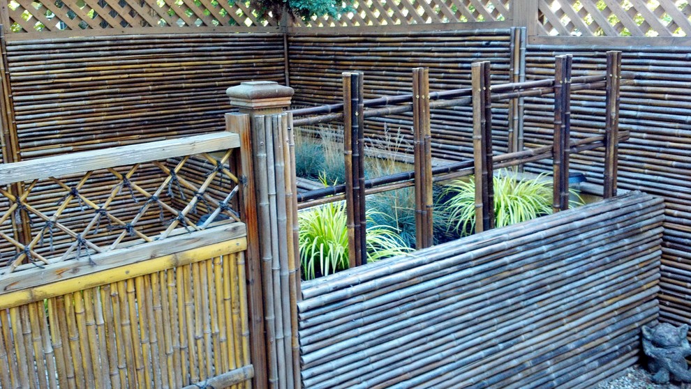 Japanese-style backyard garden - Asian - Landscape - Newark - by