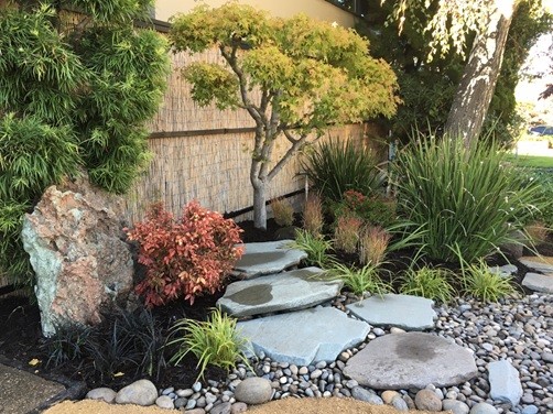Modelo de jardín de estilo zen con exposición total al sol