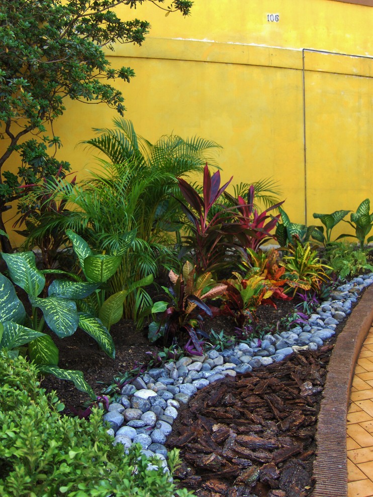 Bild på en tropisk trädgård