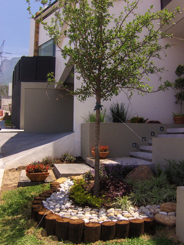 Источник вдохновения для домашнего уюта: участок и сад в современном стиле