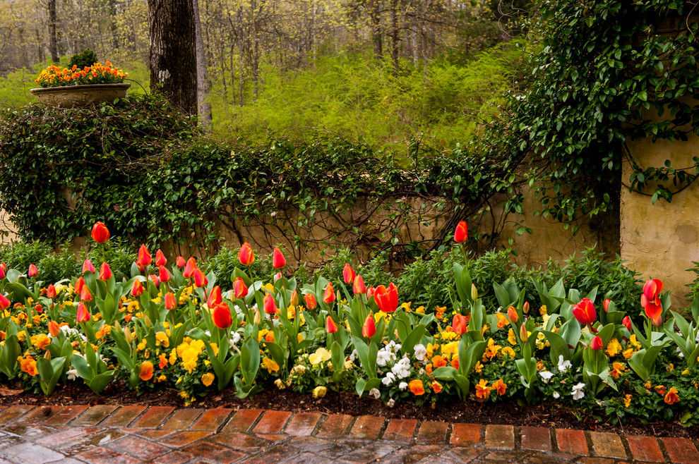 Foto di un giardino tradizionale in primavera