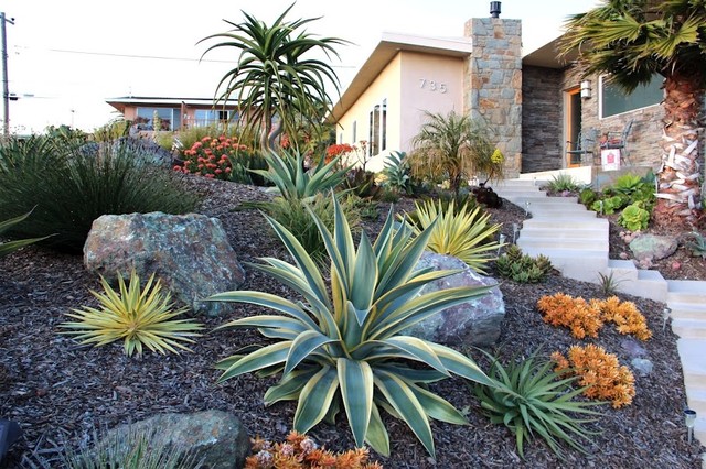 Jewel Toned Succulent Hillside Contemporary Garden San Luis Obispo By Gardens By Gabriel Inc Houzz