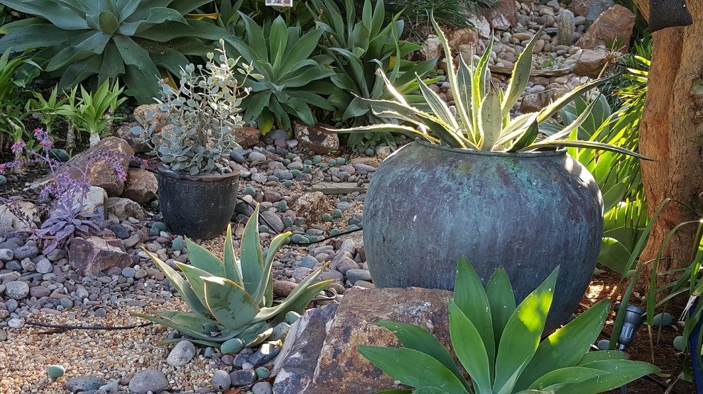 Photo of an eclectic landscaping in San Diego.