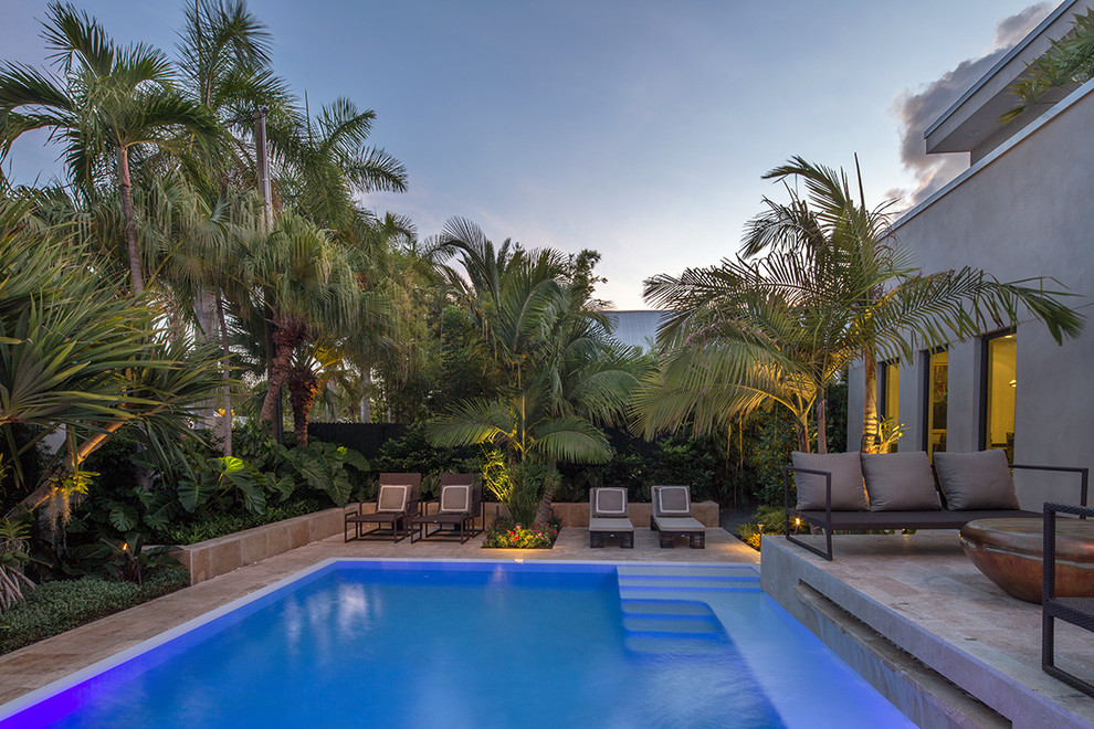 Mittelgroßer Moderner Pool hinter dem Haus in Miami