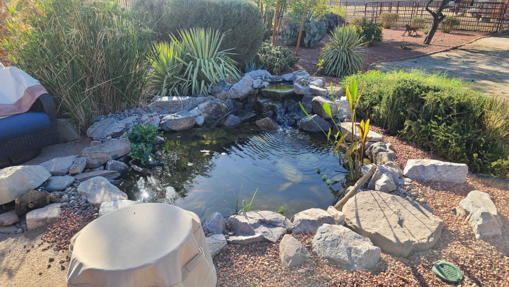 Kleiner Mediterraner Gartenteich hinter dem Haus mit direkter Sonneneinstrahlung in Phoenix