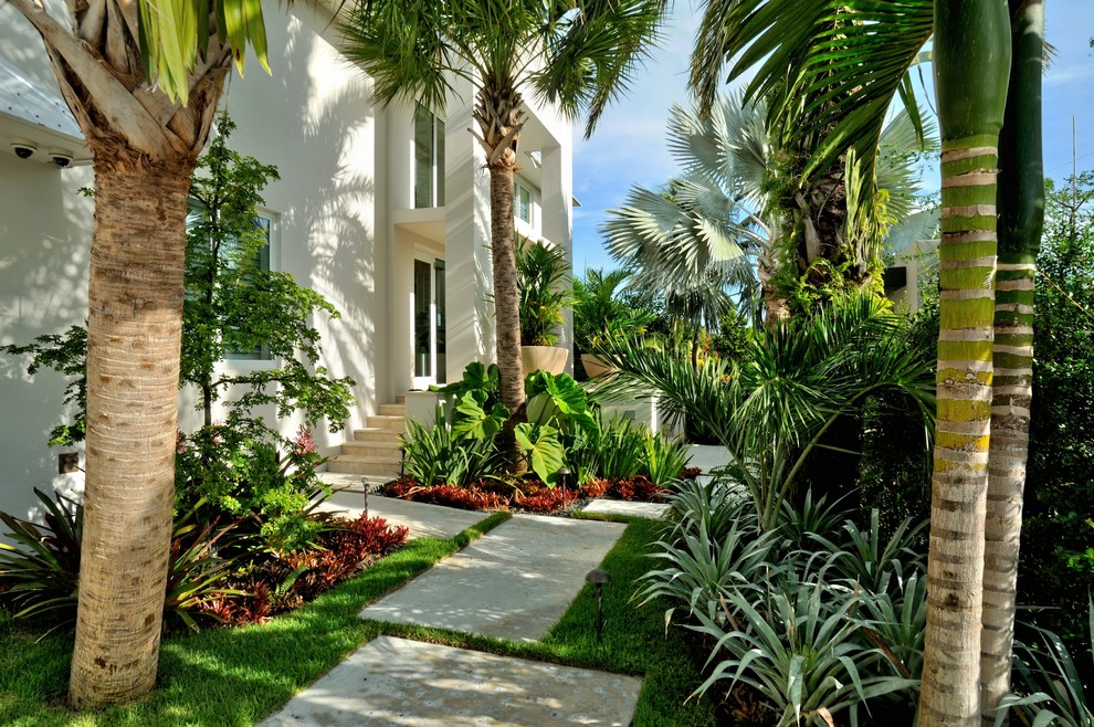 マイアミにあるラグジュアリーな広いトロピカルスタイルのおしゃれな前庭 (日向) の写真