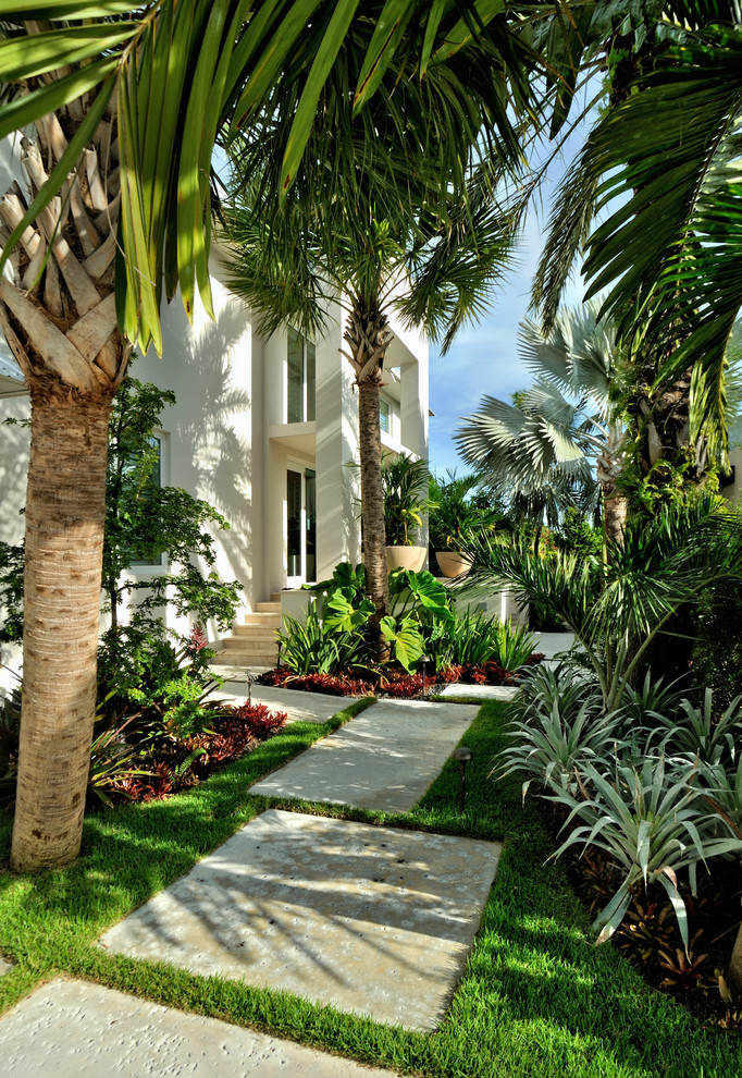 Diseño de jardín tropical con exposición parcial al sol