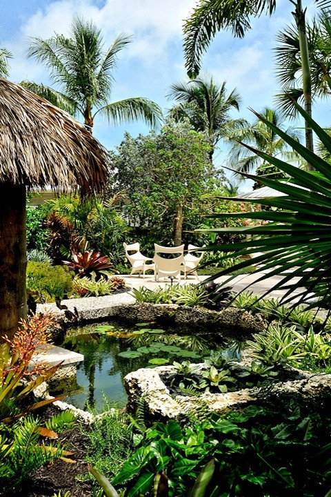 Idéer för tropiska trädgårdar