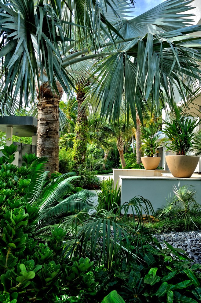 Idéer för att renovera en stor tropisk trädgård
