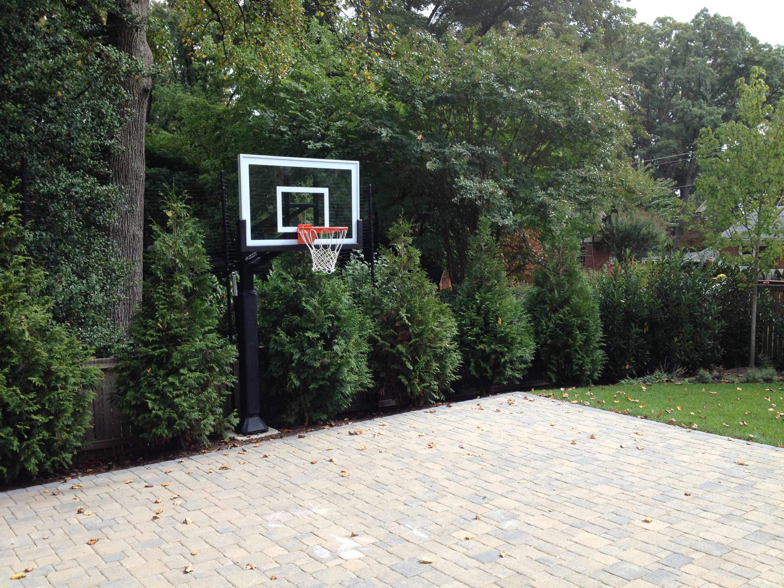 Professional Basketball Hoop for Driveway & Backyard (Diamond)