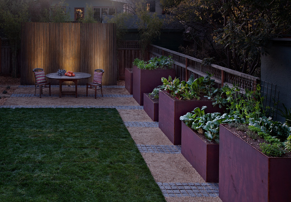 Geometrischer, Mittelgroßer, Halbschattiger Moderner Garten im Frühling, hinter dem Haus in San Francisco