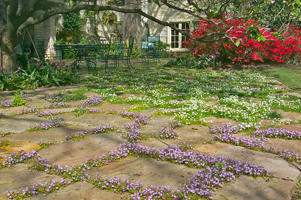 Jourdan Way Residence Traditional Landscape Dallas by DDLA