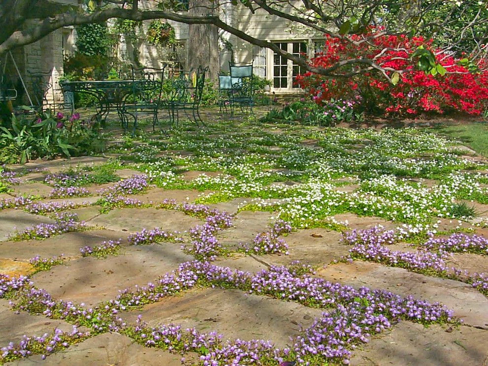 Стильный дизайн: засухоустойчивый сад среднего размера на заднем дворе в классическом стиле с покрытием из каменной брусчатки и садовой дорожкой или калиткой - последний тренд