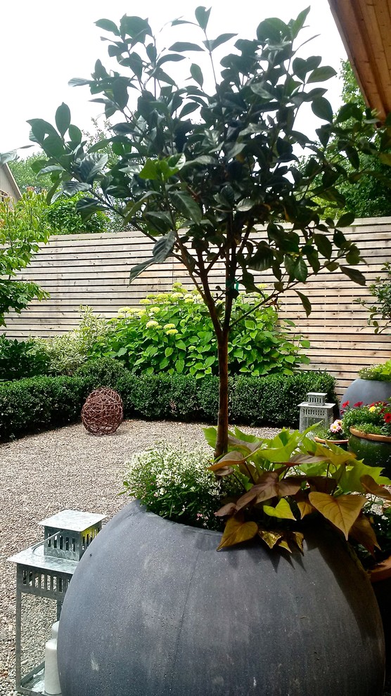 На фото: засухоустойчивый сад среднего размера на заднем дворе в стиле лофт с садовой дорожкой или калиткой и полуденной тенью